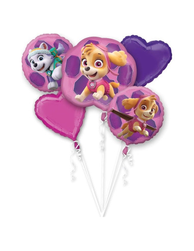 Globos de Aluminio Paw Patrol Skye y Everest - 5 Piezas