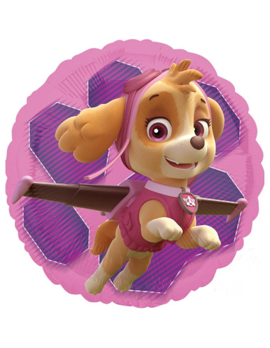 Globos de Aluminio Paw Patrol Skye y Everest - 5 Piezas