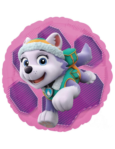 Globos de Aluminio Paw Patrol Skye y Everest - 5 Piezas