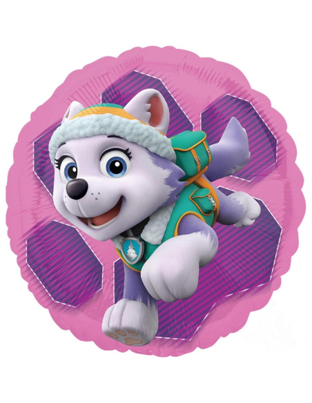 Globos de Aluminio Paw Patrol Skye y Everest - 5 Piezas