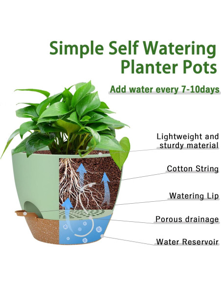 Macetas Autorriego UUBEMM Verde, Juego de 3, 25.4/22.9/20.3 cm