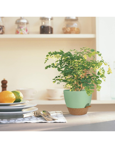 Macetas Autorriego UUBEMM Verde, Juego de 3, 25.4/22.9/20.3 cm