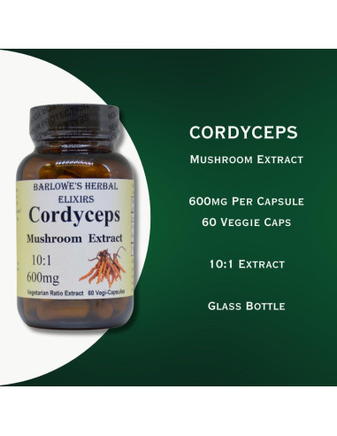 Extracto de Hongo Cordyceps 10:1 Barlowe 600mg 60 Cápsulas Veganas
