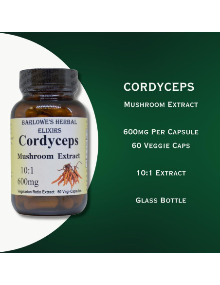 Extracto de Hongo Cordyceps 10:1 Barlowe 600mg 60 Cápsulas Veganas