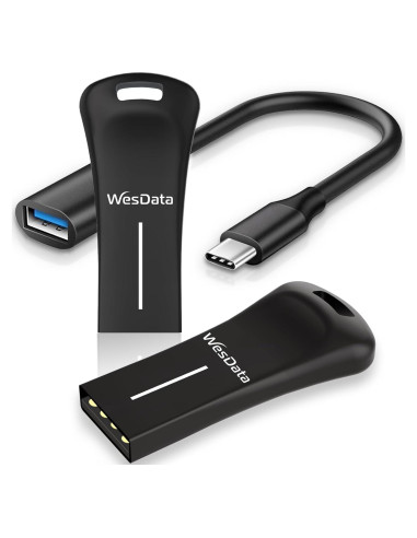 Paquete de 2 unidades USB 2.0 64GB WesData con adaptador USB-C