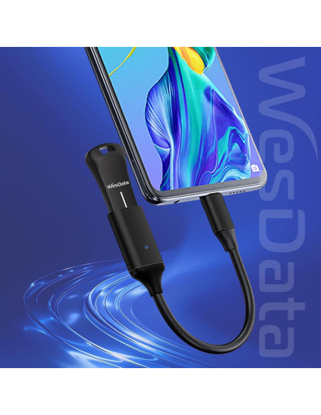 Paquete de 2 unidades USB 2.0 64GB WesData con adaptador USB-C