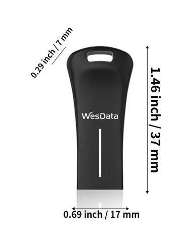 Paquete de 2 unidades USB 2.0 64GB WesData con adaptador USB-C