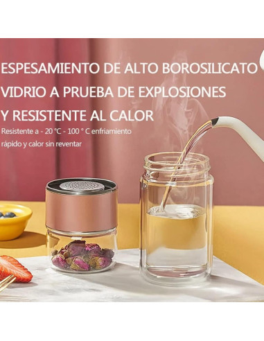 Botella de Infusión de Té HERCHR 420ml Doble Pared Acero Inoxidable