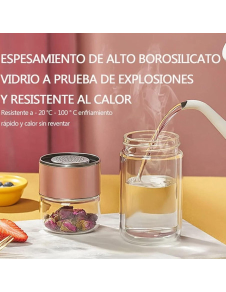 Botella de Infusión de Té HERCHR 420ml Doble Pared Acero Inoxidable