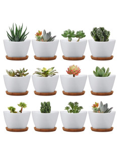 Macetas Pequeñas Brajttt con Drenaje y Bandeja de Bambú - 12 Pzas