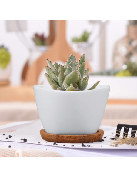 Macetas Pequeñas Brajttt con Drenaje y Bandeja de Bambú - 12 Pzas