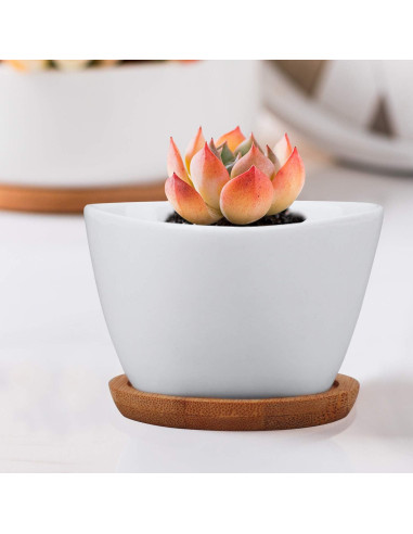 Macetas Pequeñas Brajttt con Drenaje y Bandeja de Bambú - 12 Pzas