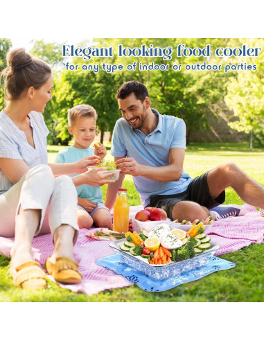 Set de 8 Piezas Mat de Hielo Reutilizable Meanplan 30 cm