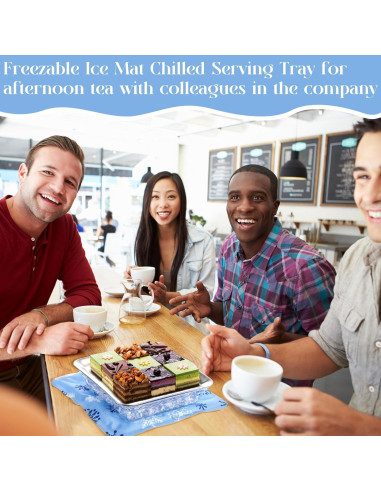 Set de 8 Piezas Mat de Hielo Reutilizable Meanplan 30 cm