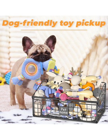 Caja de Almacenamiento de Juguetes para Perros Foellstoe 41.91x27.43x21.59cm