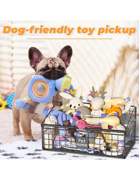 Caja de Almacenamiento de Juguetes para Perros Foellstoe 41.91x27.43x21.59cm