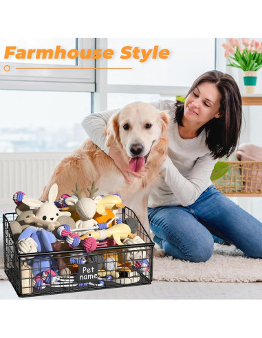 Caja de Almacenamiento de Juguetes para Perros Foellstoe 41.91x27.43x21.59cm