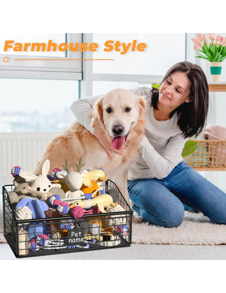 Caja de Almacenamiento de Juguetes para Perros Foellstoe 41.91x27.43x21.59cm