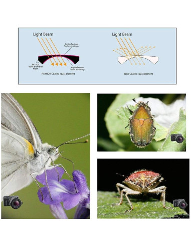 Lente Macro Raynox DCR-250 2.5x Universal 52-67mm + Limpiador