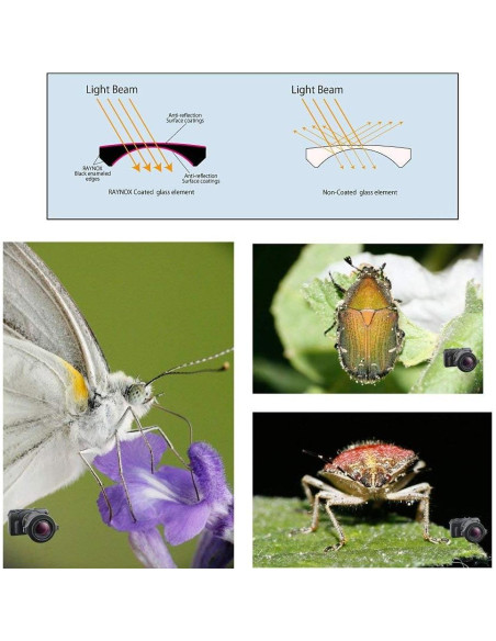 Lente Macro Raynox DCR-250 2.5x Universal 52-67mm + Limpiador
