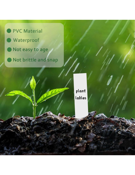1000 Etiquetas de Plástico para Plantas Giaueoa 100x20mm