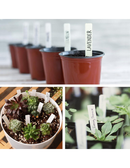 1000 Etiquetas de Plástico para Plantas Giaueoa 100x20mm
