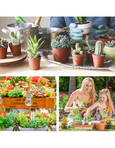 1000 Etiquetas de Plástico para Plantas Giaueoa 100x20mm