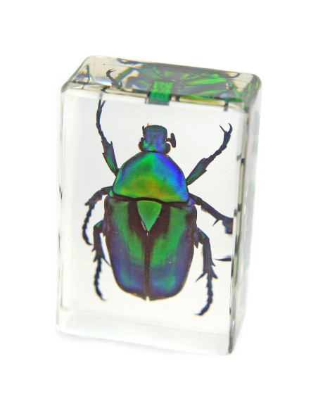 Pesa Papel Realbug Escarabajo Chafer Verde 4.57x2.79 cm