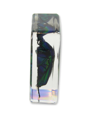 Pesa Papel Realbug Escarabajo Chafer Verde 4.57x2.79 cm