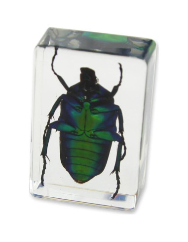 Pesa Papel Realbug Escarabajo Chafer Verde 4.57x2.79 cm