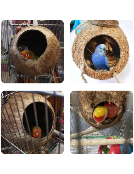 Casa de Pájaro Colgante Tfwadmx de Coco Natural con Escalera