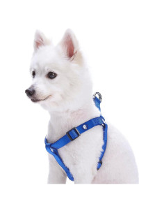 Arnés para Perros Blueberry Pet Pequeño Azul Real Nylon