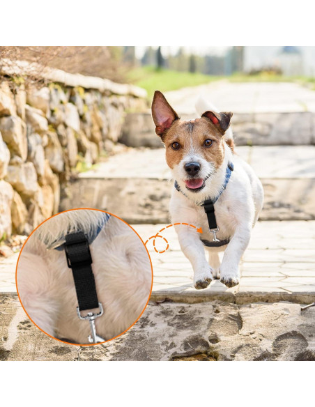 Clip de Collar de Perro Saintrygo 8 Piezas Ajustable Nylon