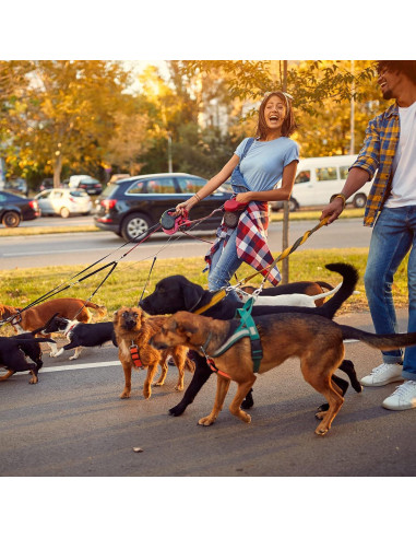 Clip de Collar de Perro Saintrygo 8 Piezas Ajustable Nylon