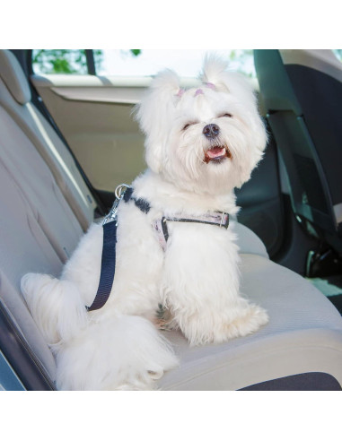 Clip de Collar de Perro Saintrygo 8 Piezas Ajustable Nylon