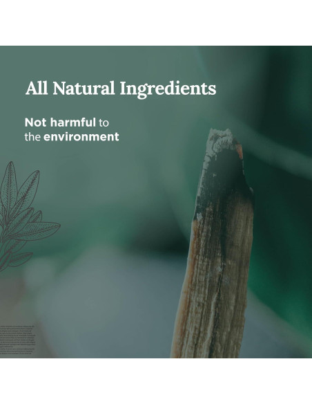 Set de 3 Velas de Salvia Magnífico 101 - 42 Horas de Quema