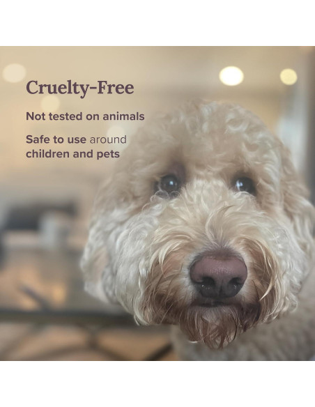 Set de 3 Velas de Salvia Magnífico 101 - 42 Horas de Quema