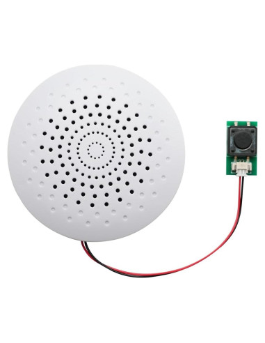 Módulo de Sonido USB JRGKJCP 8MB Grabación Portátil