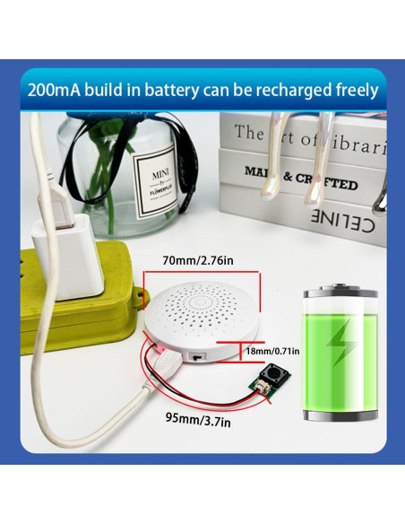 Módulo de Sonido USB JRGKJCP 8MB Grabación Portátil