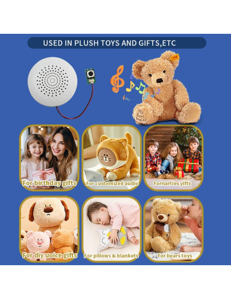 Módulo de Sonido USB JRGKJCP 8MB Grabación Portátil