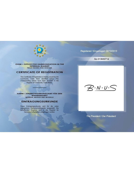 Gafas de sol B.N.U.S modelo B7066 con lentes de vidrio polarizadas