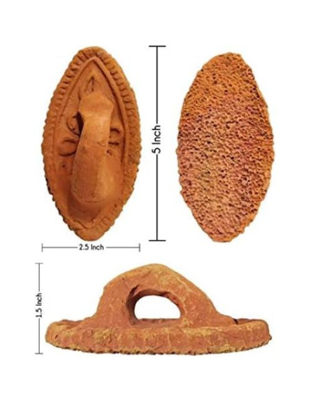 Piedra Pómez Natural Cosynee 12.7x6.35cm Exfoliador de Pies