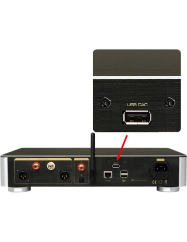 JF Digital S1-Pro Decodificador HiFi USB 32Bit/768KHz AK4495