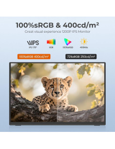 Monitor Portátil UFYQL 14" FHD 1920x1200 IPS USB-C HDMI 2