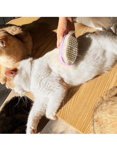 Cepillo de Silicona 3-en-1 GooCare para Mascotas - Púrpura