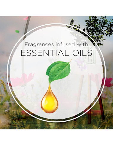 Air Wick Esencial Mist Recarga Triple Loto Negro y Violeta