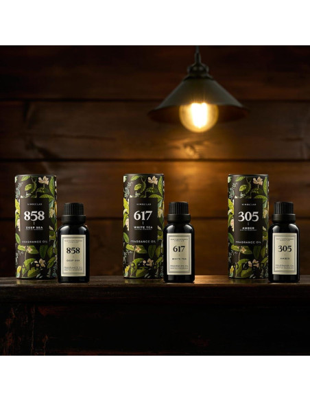 Difusor de Aceite Esencial 30 ml 858 MAR PROFUNDO Isabelle