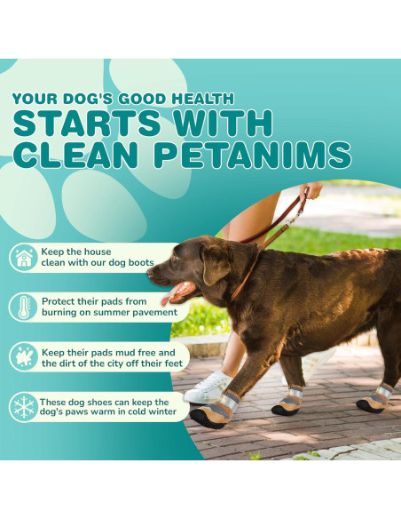 Botas para perros Petanims tamaño 3 gris, antideslizantes