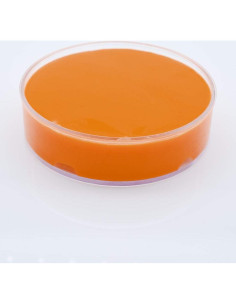 Masilla Terapéutica No Tóxica The Glowhouse Naranja Extra Suave 2