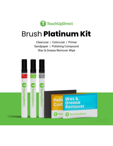 Pintura de Retoque TouchUpDirect 52C Gris Metálico Aero - Kit Platino